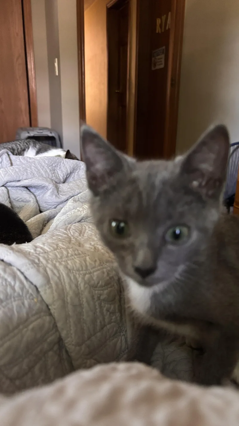 Dean and Tristian thumbnail 5