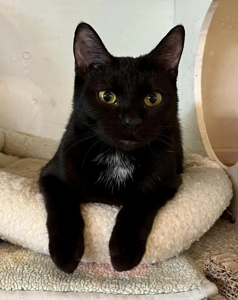 Luna