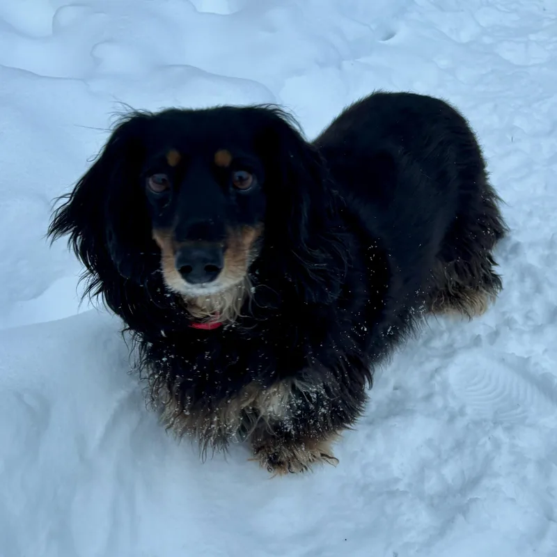 Jethro & Elly May thumbnail 3