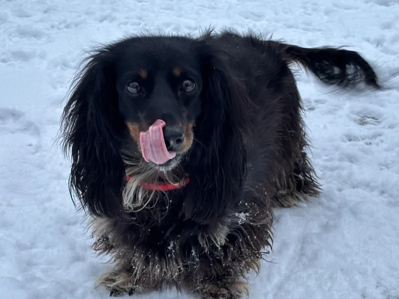 Jethro & Elly May thumbnail 5