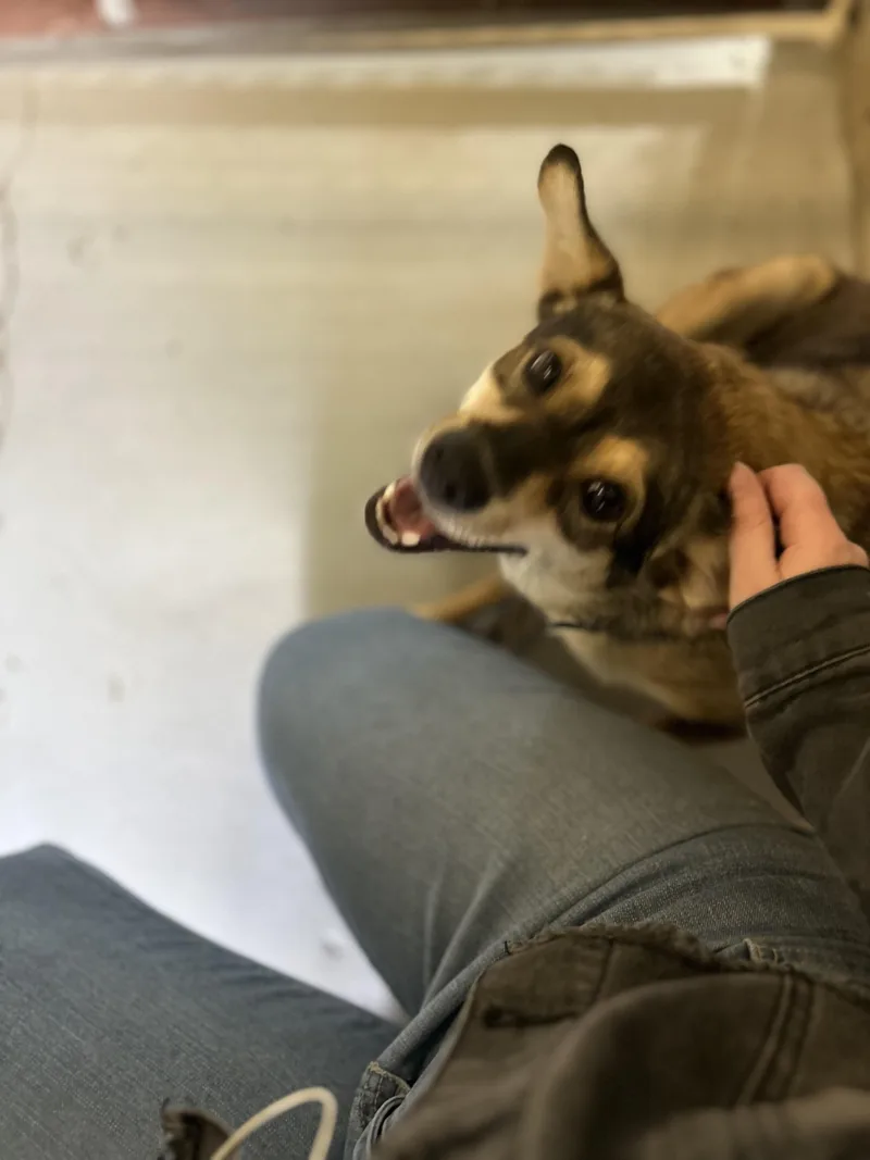 Lola thumbnail 5