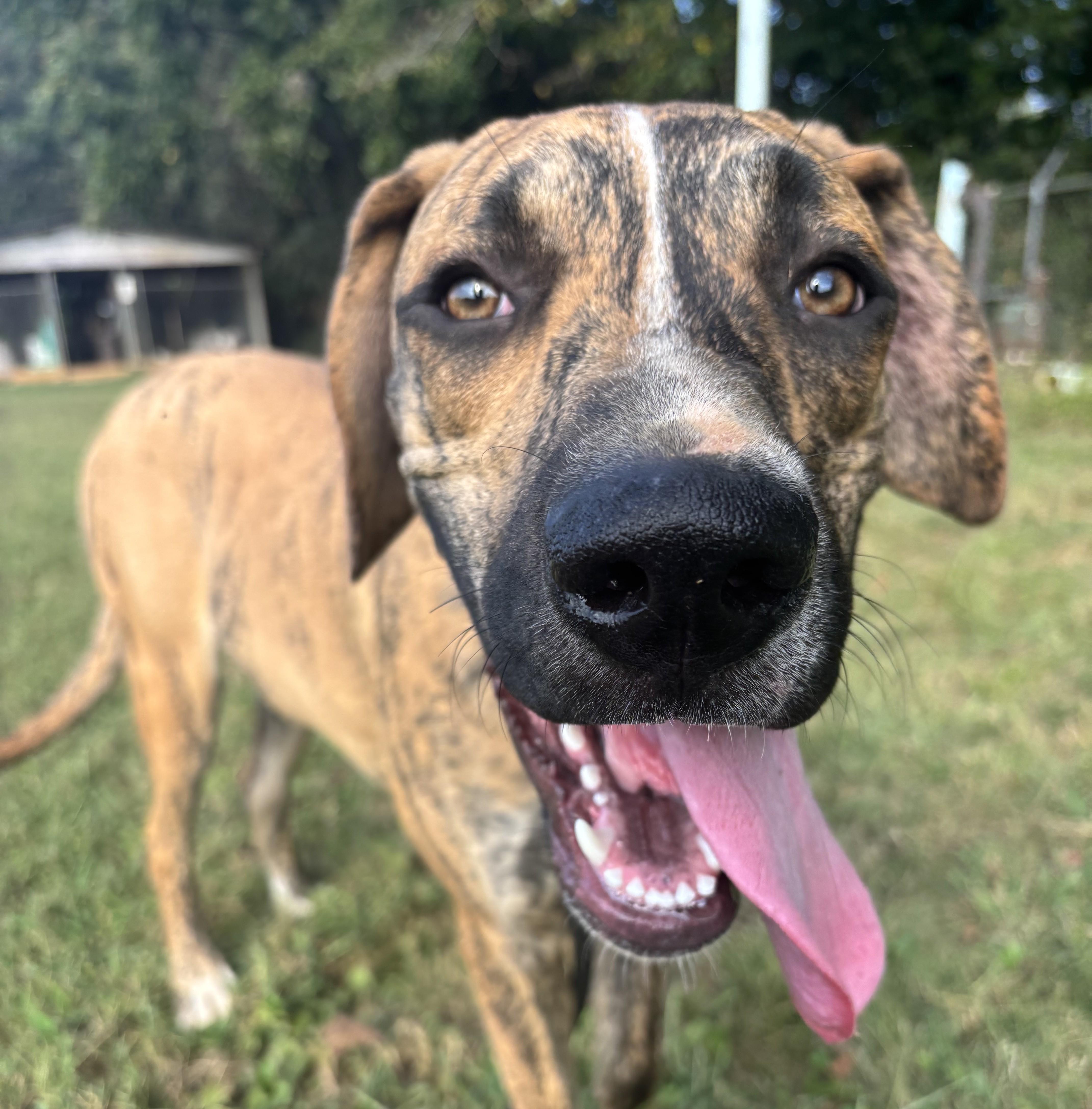 Duke Wayne ~ Friendly