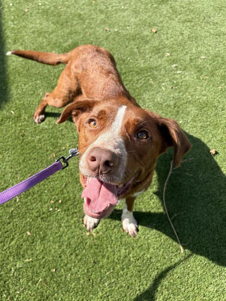 Tinkerbelle thumbnail 2