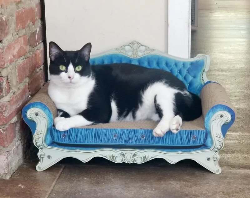 Harmonica thumbnail 6