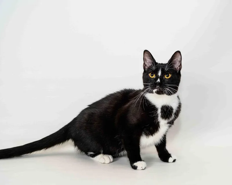 Louise  Finished Fip thumbnail 3