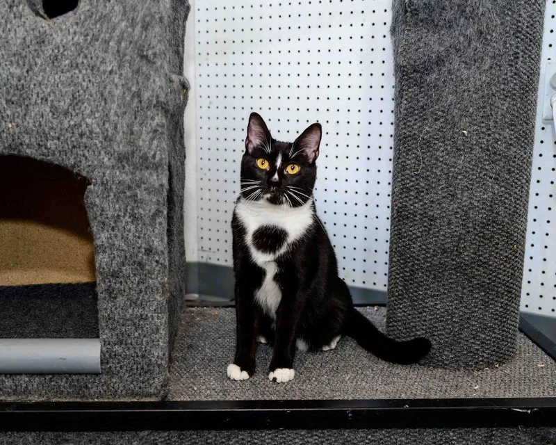 Louise  Finished Fip thumbnail 4