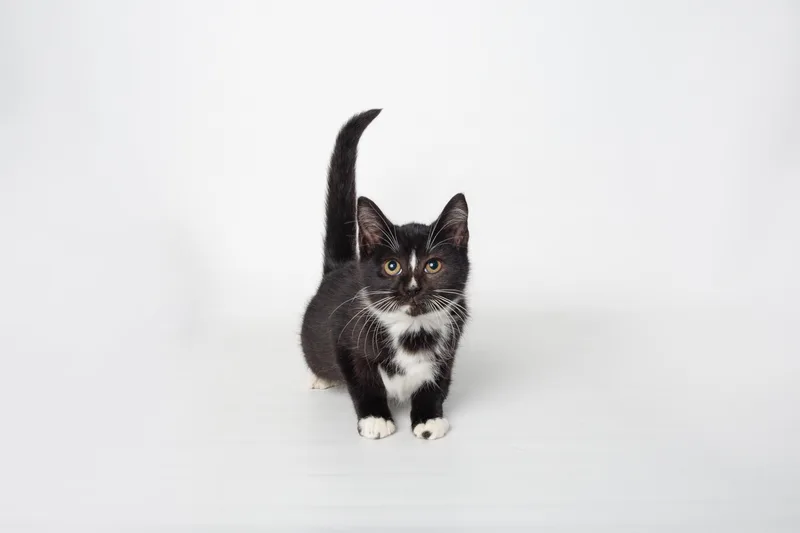 Louise  Finished Fip thumbnail 5