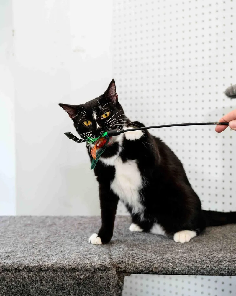 Louise  Finished Fip thumbnail 6