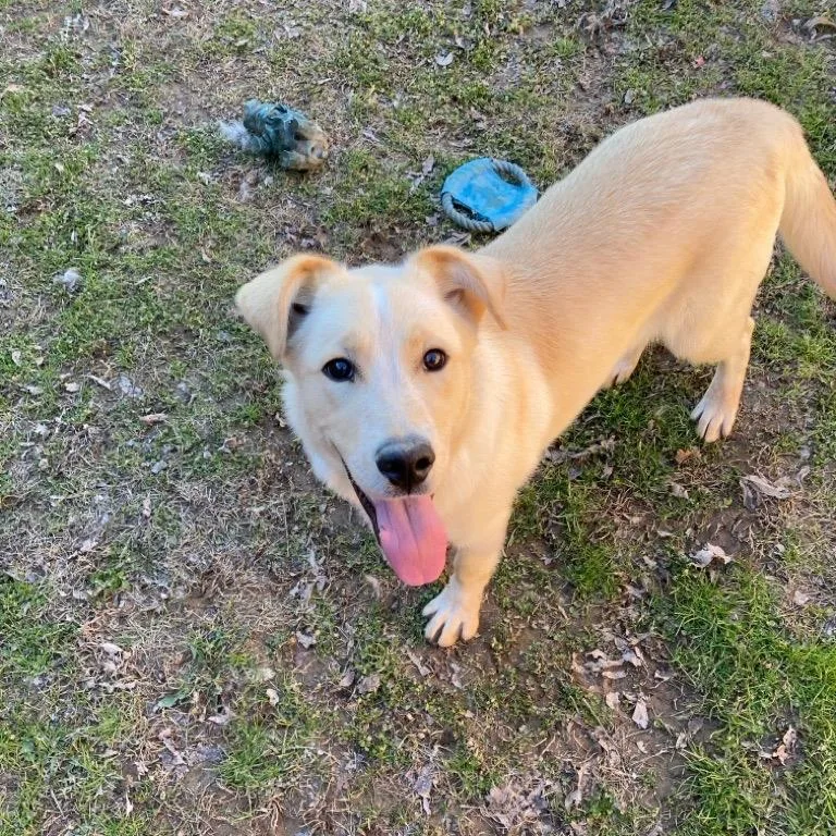 Duncan
