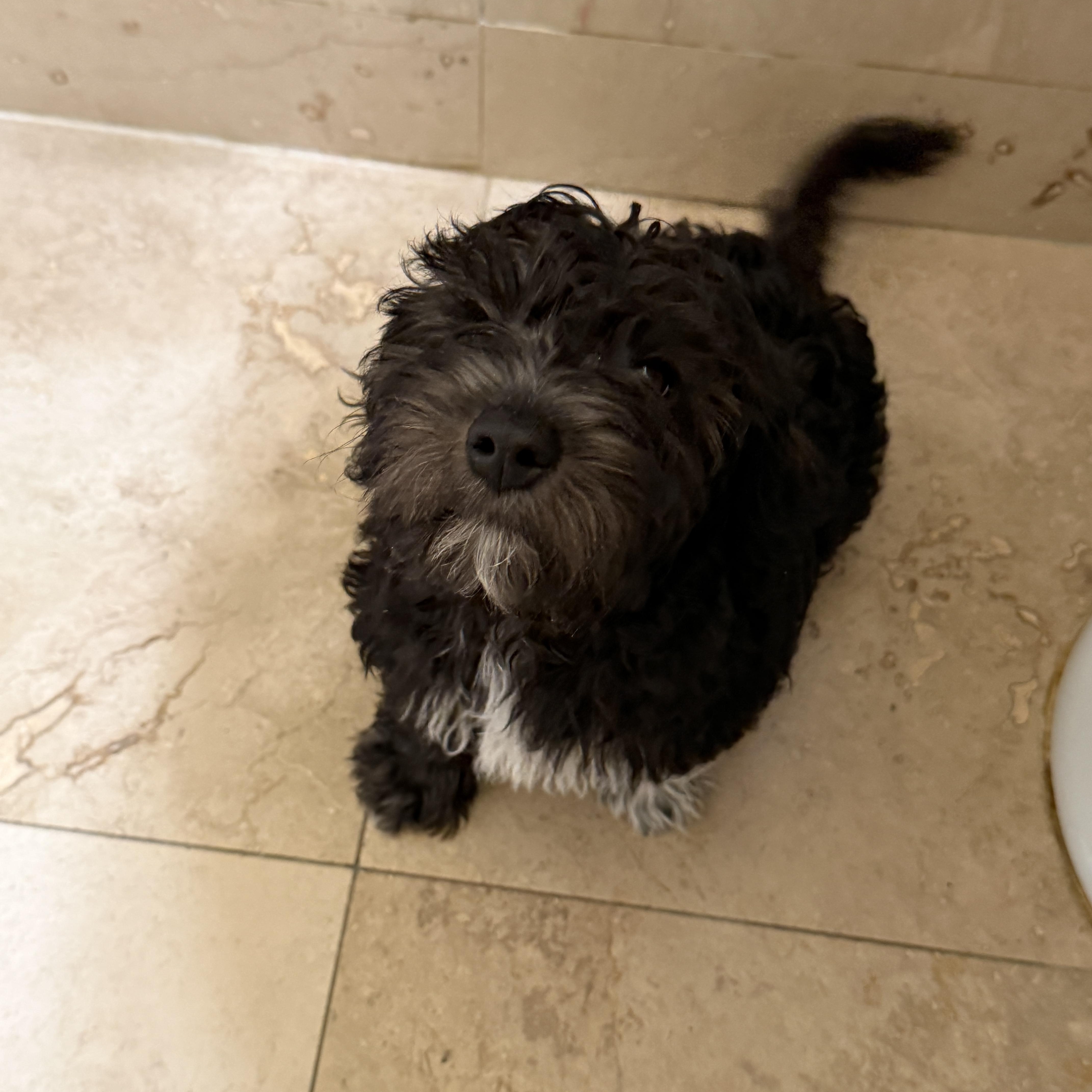 Frannie thumbnail 4