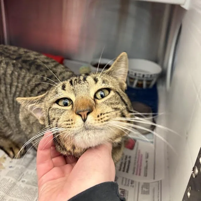 Ipad Baby thumbnail 2