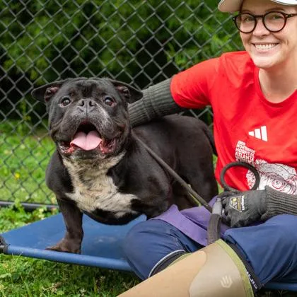 An adult large-sized male Mixed Breed dog named Ring Toss for adoption in Chamblee, GA
