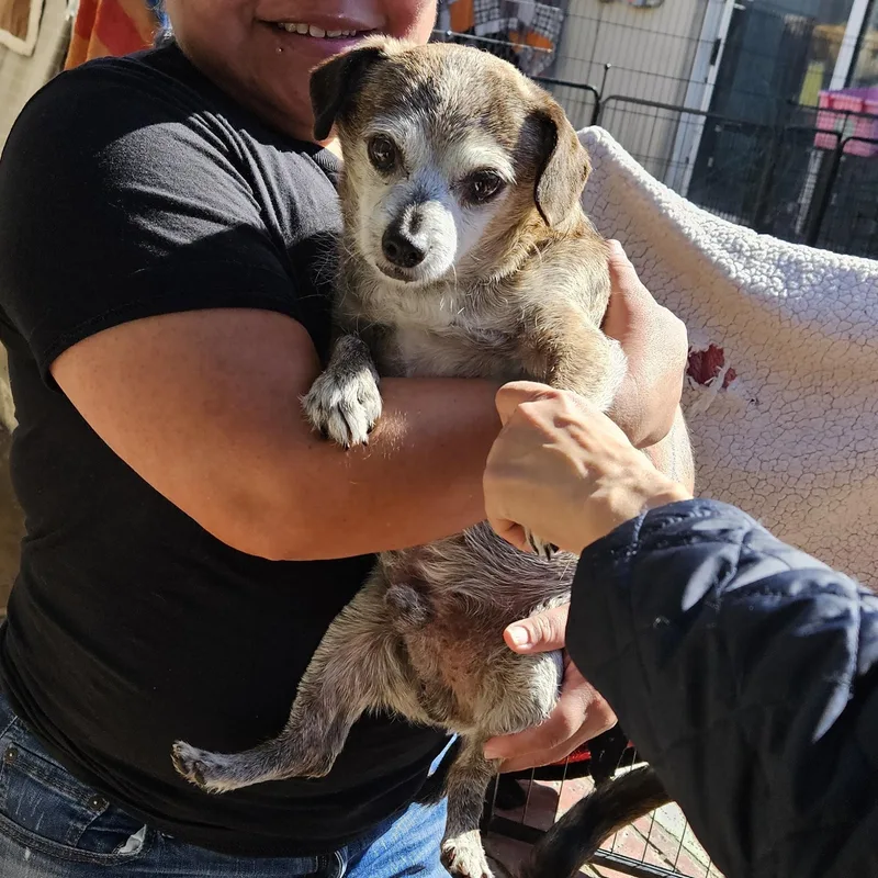 It Is Peewee Herman!!