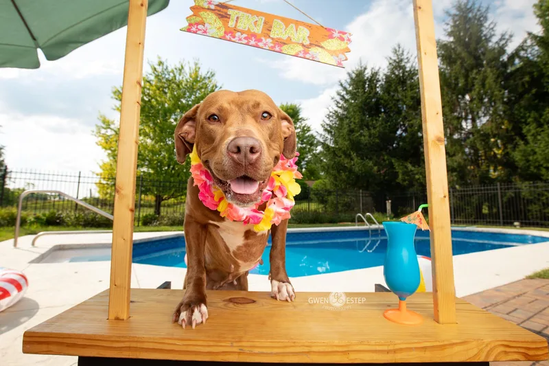 Ruby Riot thumbnail 3