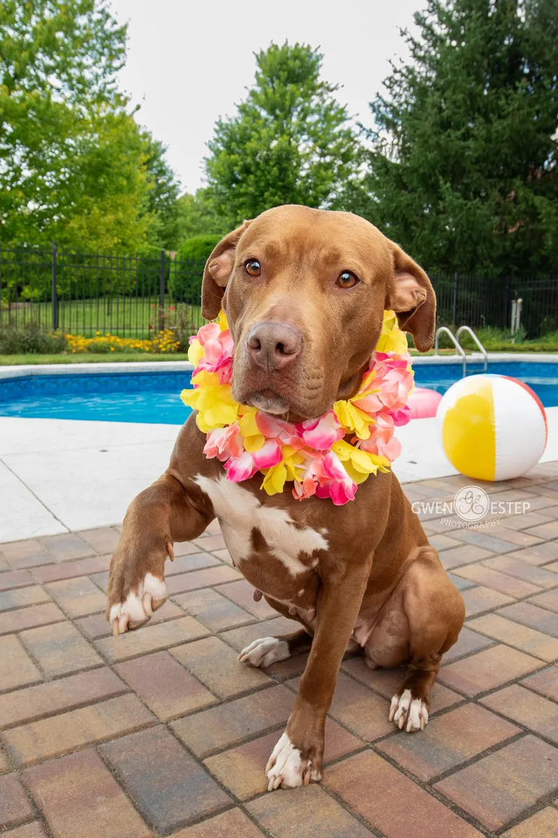 Ruby Riot thumbnail 4