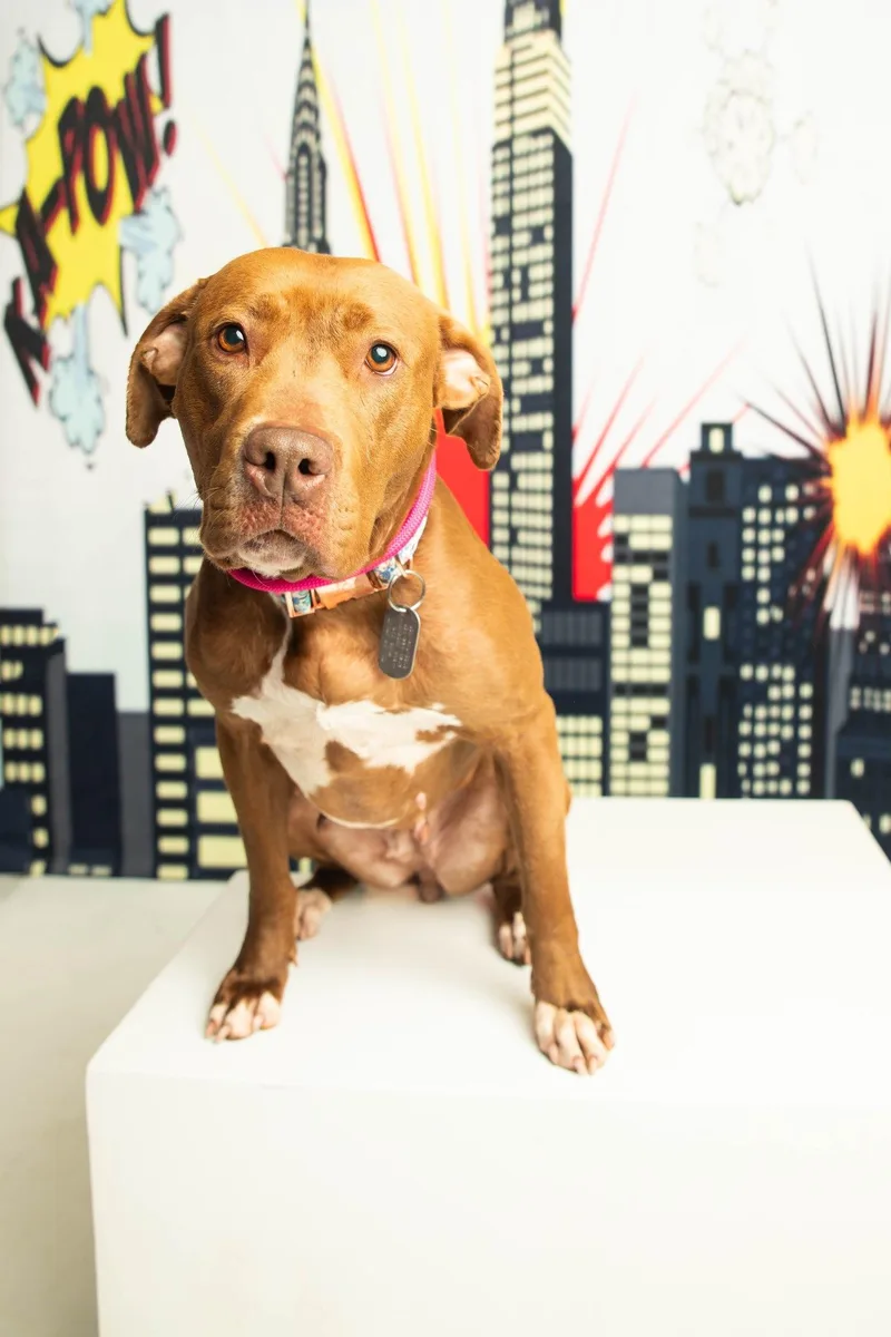 Ruby Riot thumbnail 5