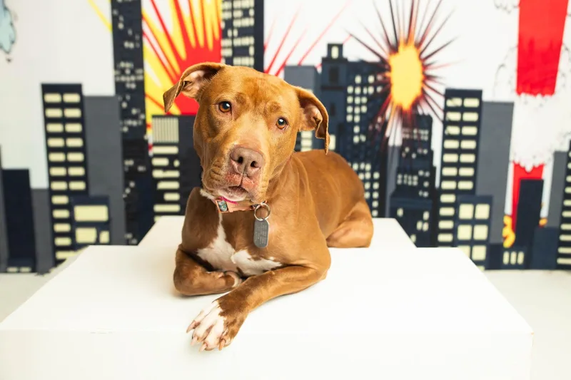 Ruby Riot thumbnail 6