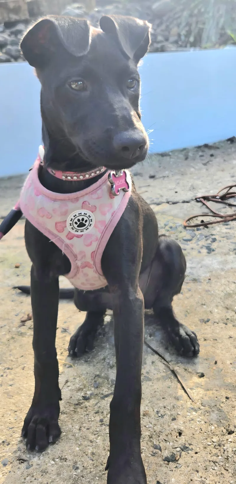 Moon "my Love With thumbnail 2