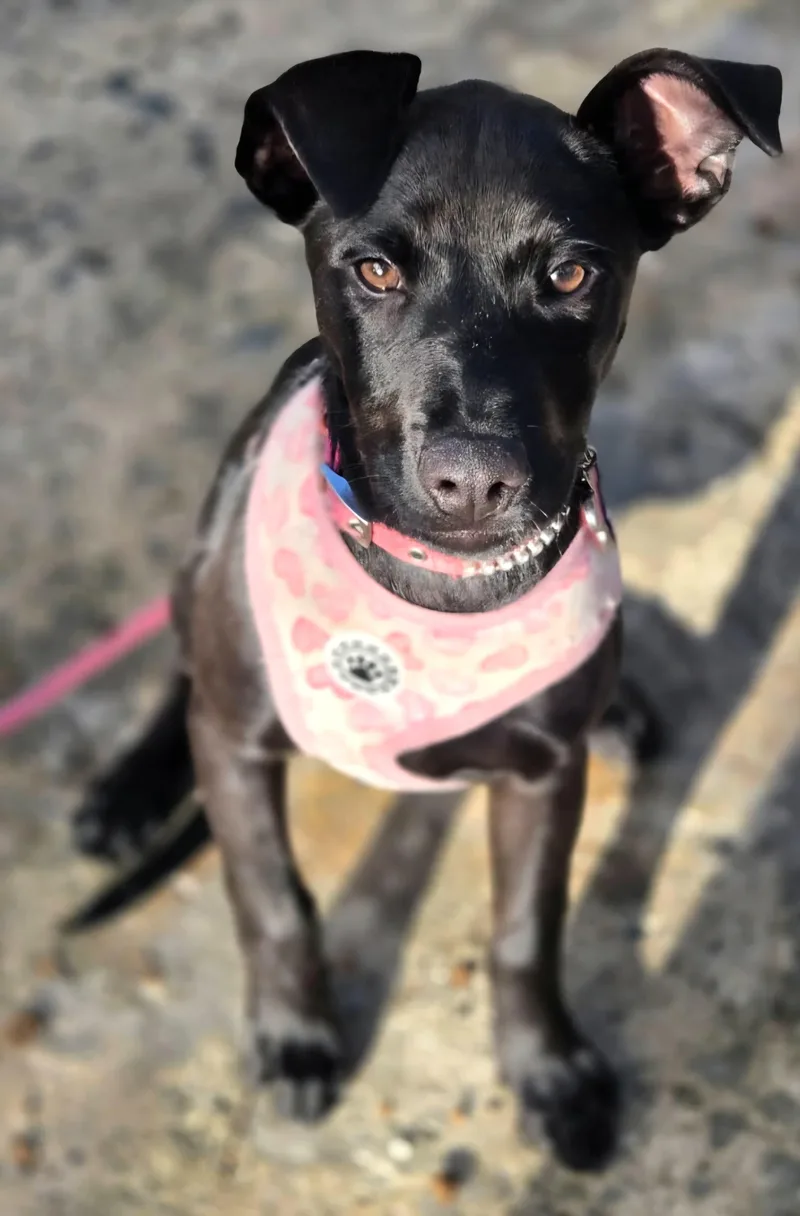 Moon "my Love With thumbnail 3