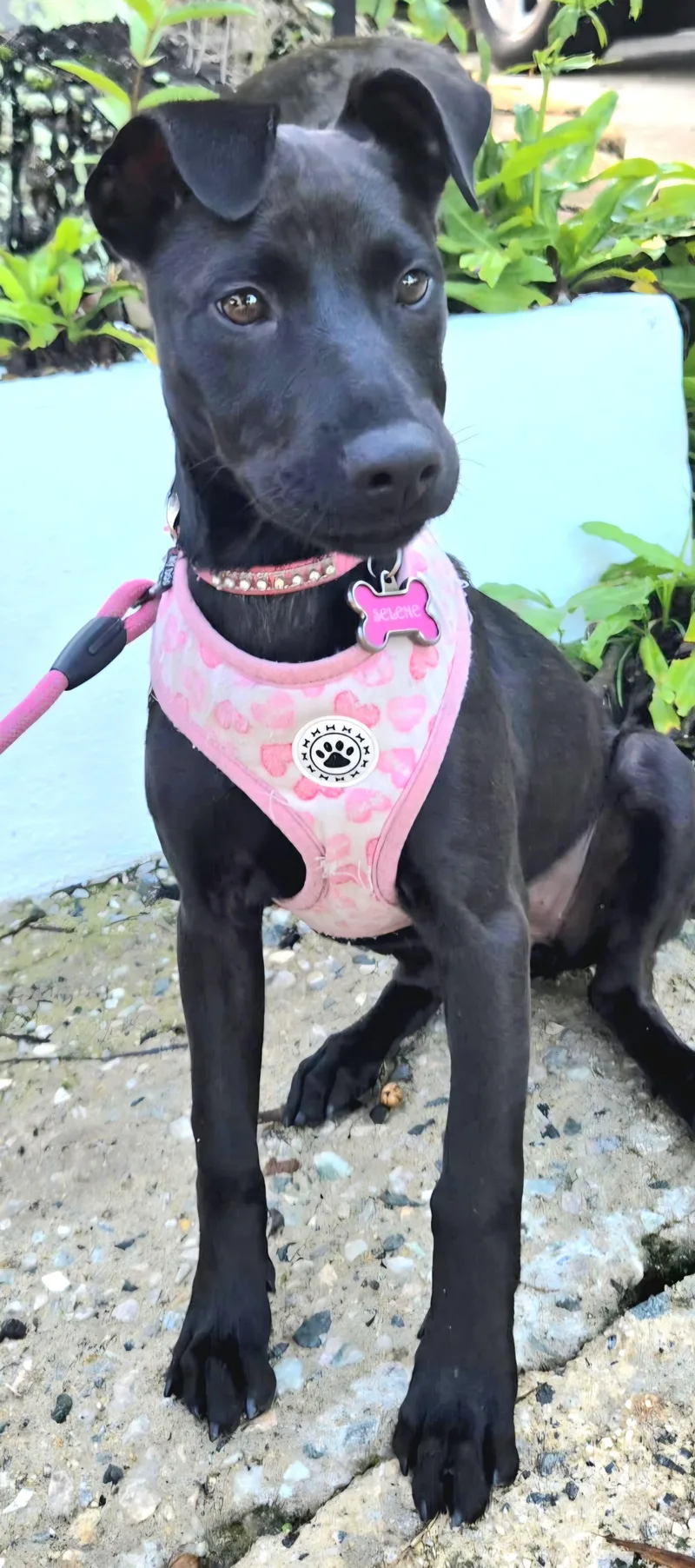 Moon "my Love With thumbnail 4