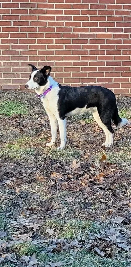 Sara Lynn thumbnail 2