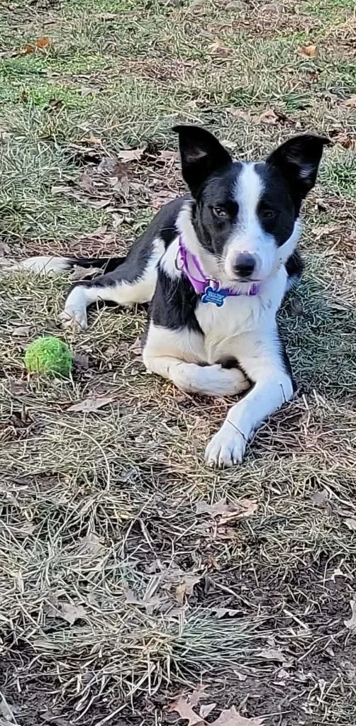 Sara Lynn thumbnail 3