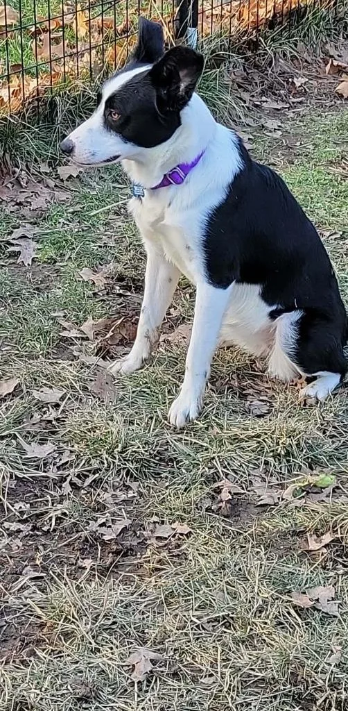 Sara Lynn thumbnail 4