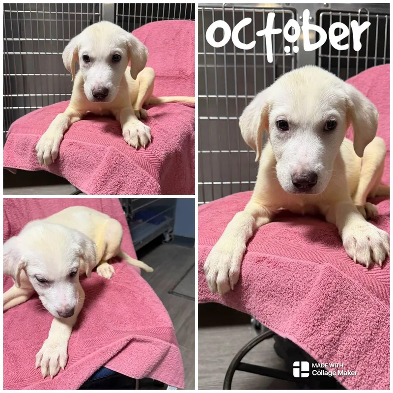 October
