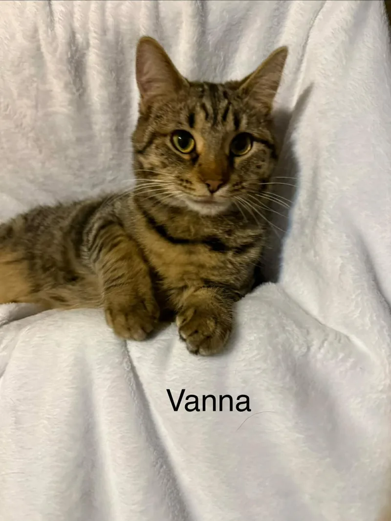 Vanna