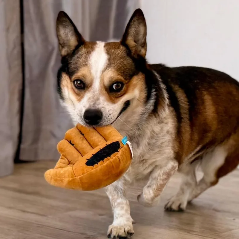 Toby thumbnail 6