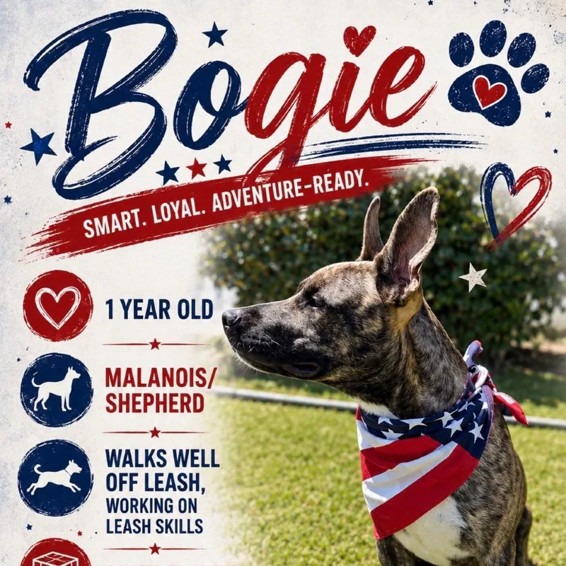 Bogie thumbnail 3