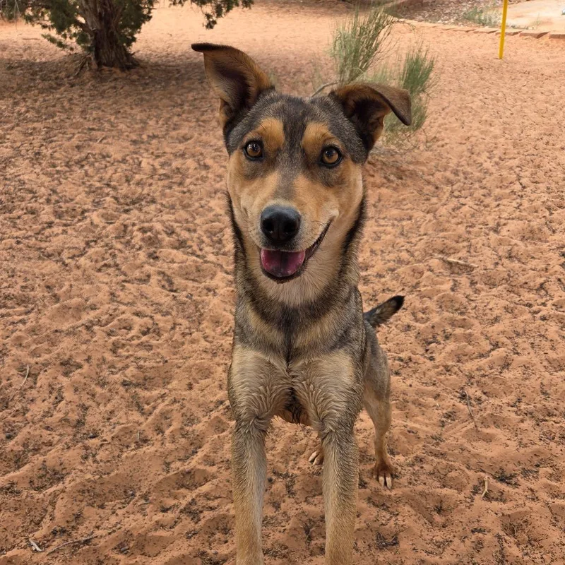 Triscuit thumbnail 3