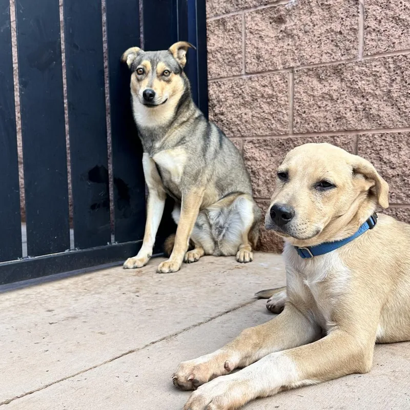 Triscuit thumbnail 4