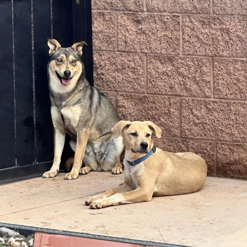 Triscuit thumbnail 5