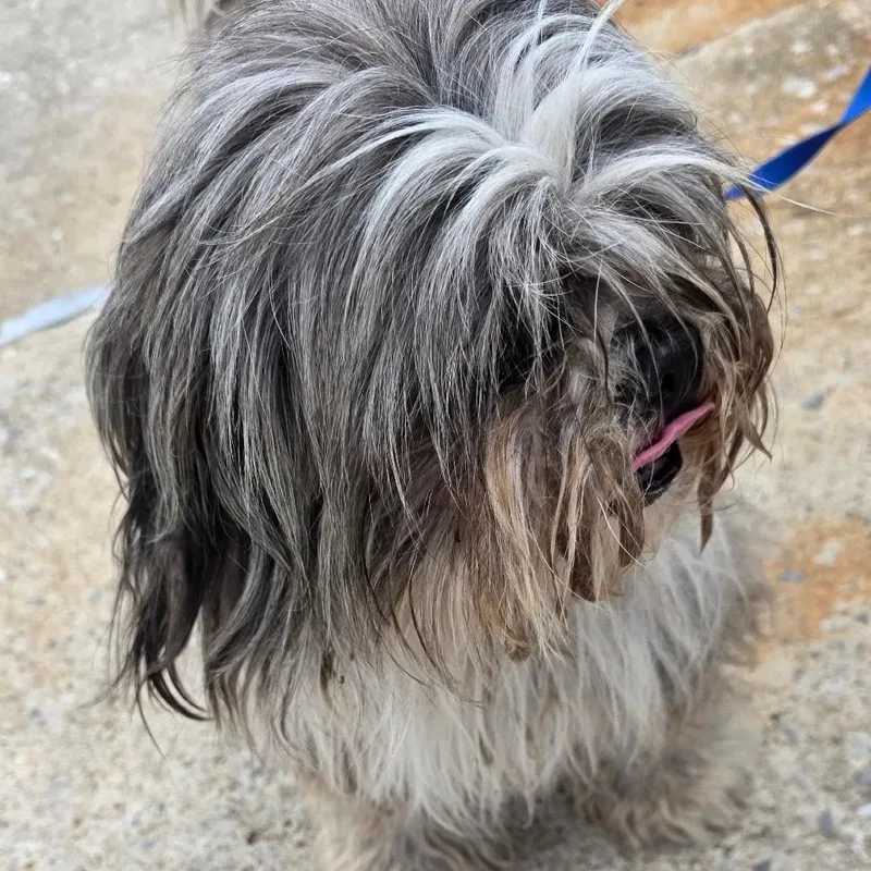 Jimmy thumbnail 3