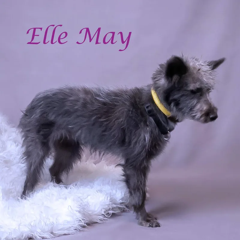 Ellie May D thumbnail 2
