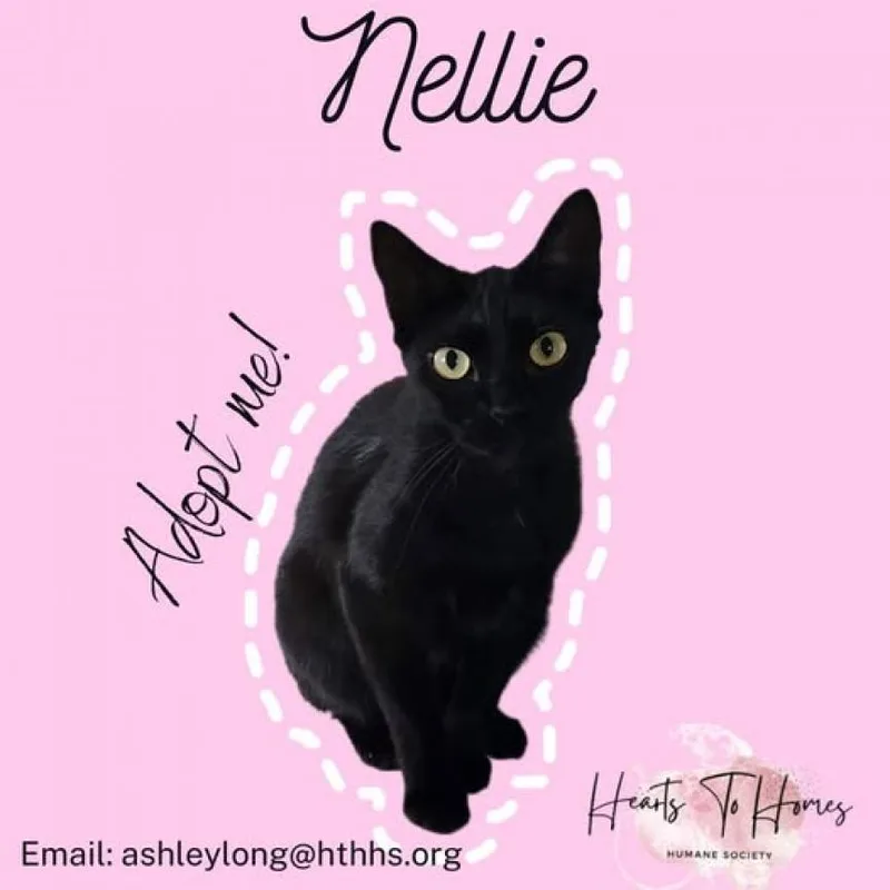 Nellie