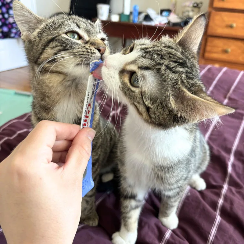 Patricia & Roseanna Arcat thumbnail 2