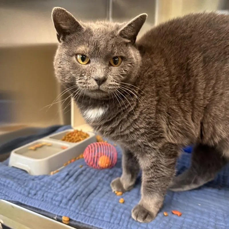 Martha Mets thumbnail 2