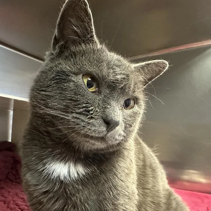 Martha Mets thumbnail 3