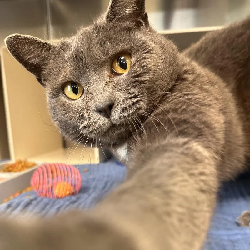 Martha Mets thumbnail 6