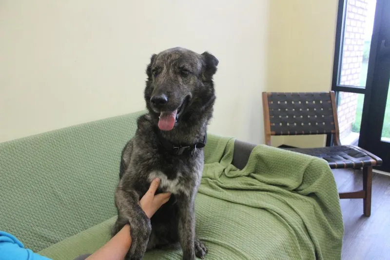 Emmie thumbnail 2