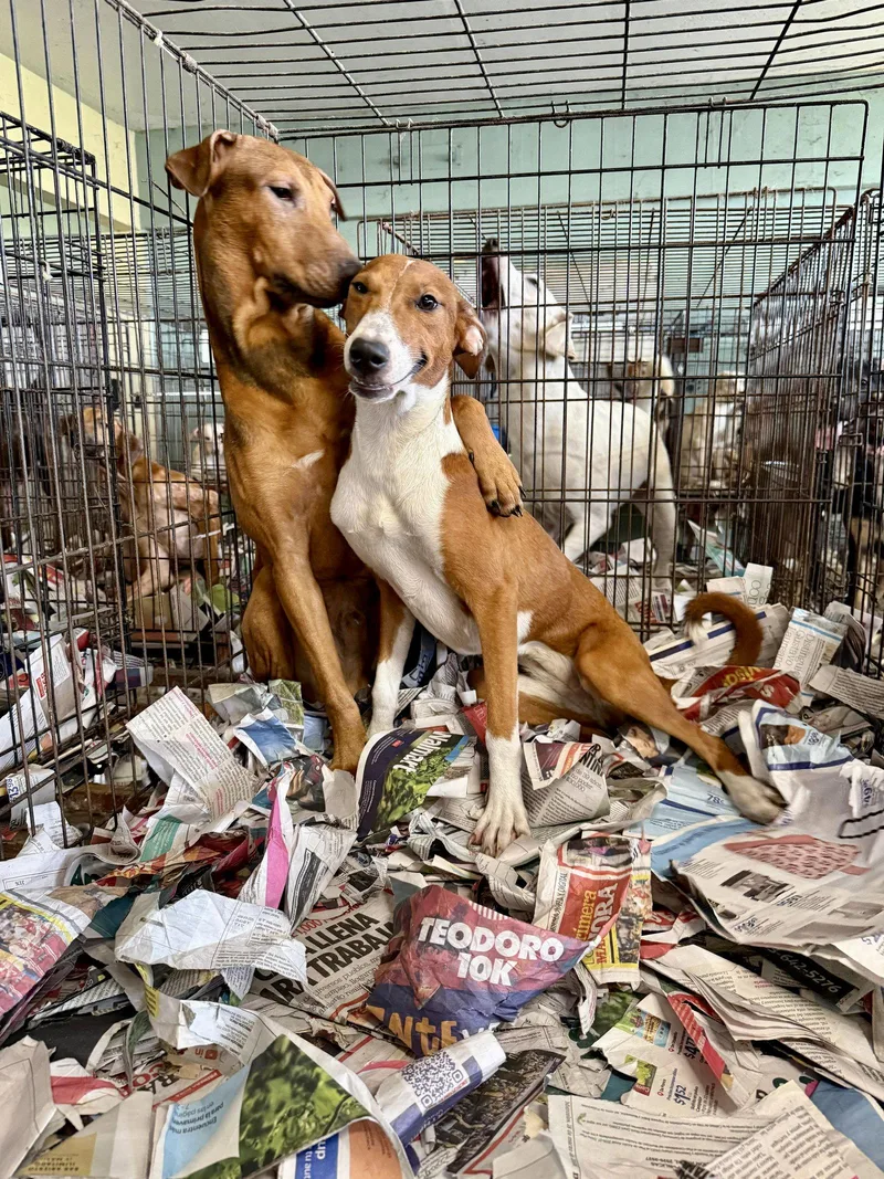 Hercules thumbnail 2