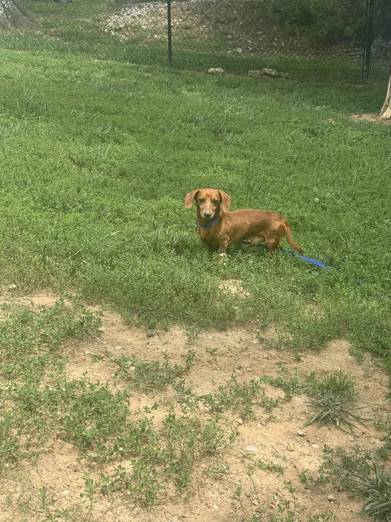 Eliot thumbnail 2