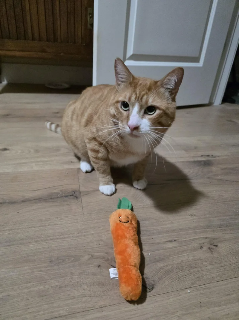 Garfield thumbnail 3