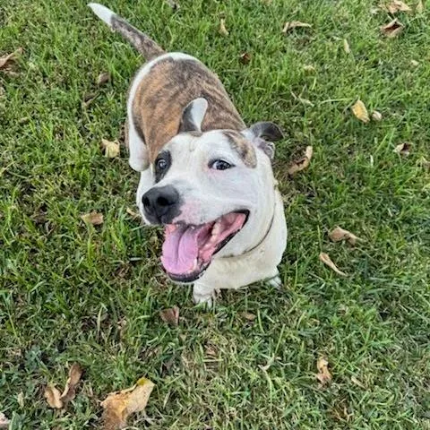 Snack Mix thumbnail 2