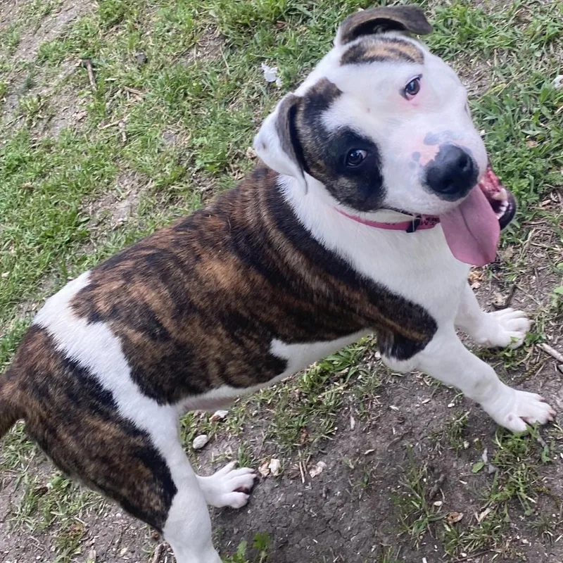 Snack Mix thumbnail 3