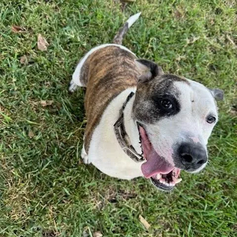 Snack Mix thumbnail 4