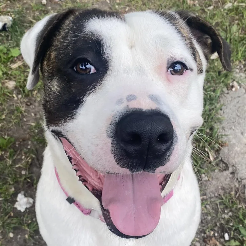 Snack Mix thumbnail 5