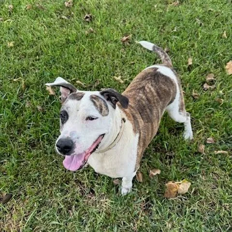 Snack Mix thumbnail 6